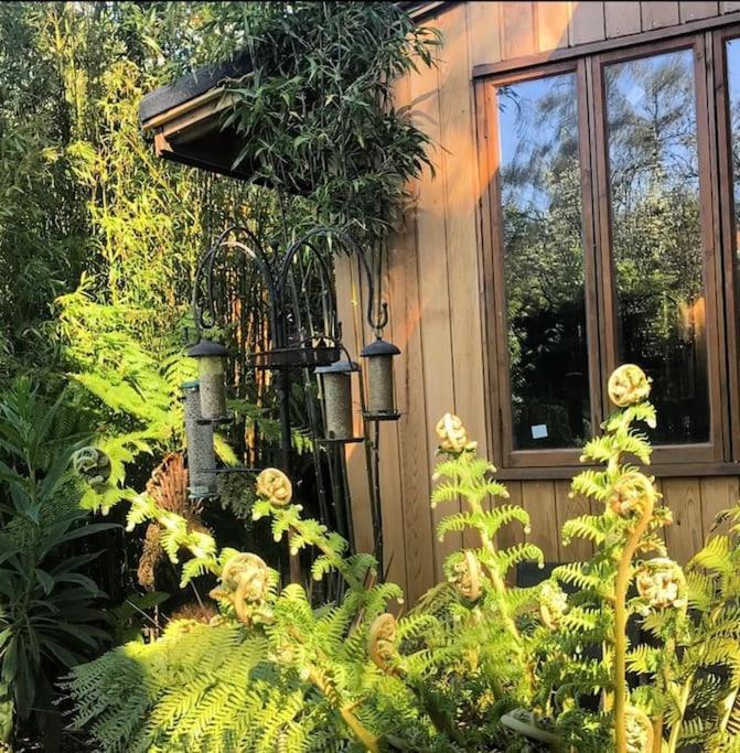 Jungle Cabin Martin Mill Eksteriør billede