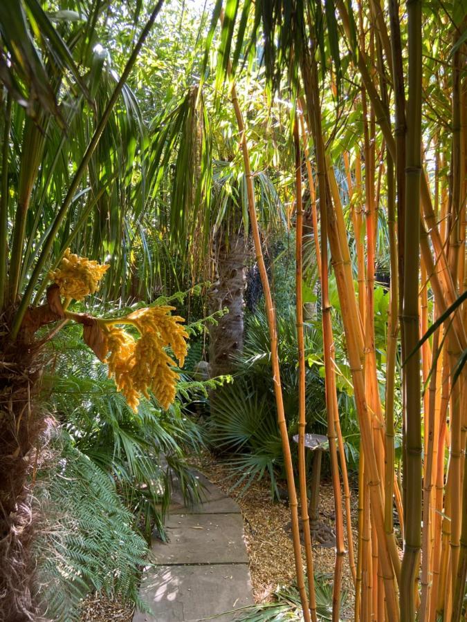 Jungle Cabin Martin Mill Eksteriør billede