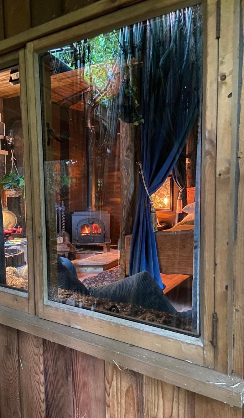 Jungle Cabin Martin Mill Eksteriør billede
