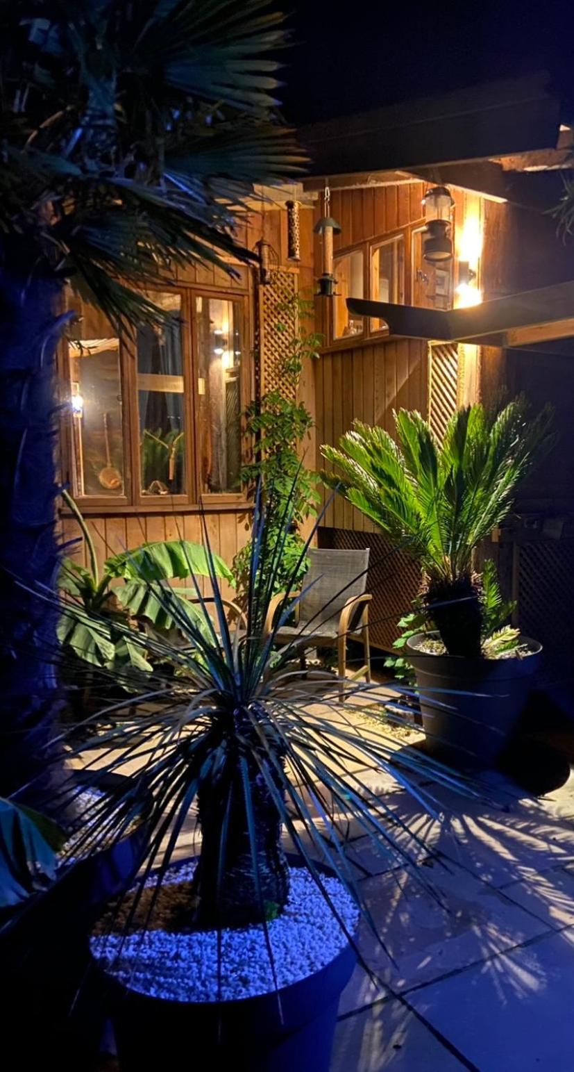 Jungle Cabin Martin Mill Eksteriør billede