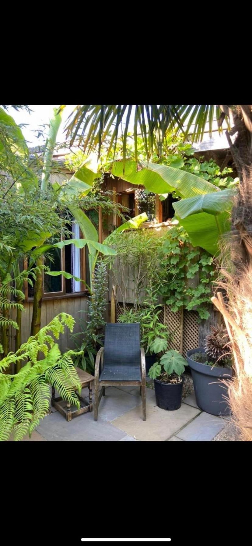 Jungle Cabin Martin Mill Eksteriør billede